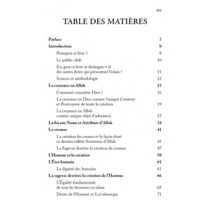 QU'EST-CE QUE L'ISLAM ? LE POINT DE VUE D'UN CONVERTI - JAMAAL ZARABOZO